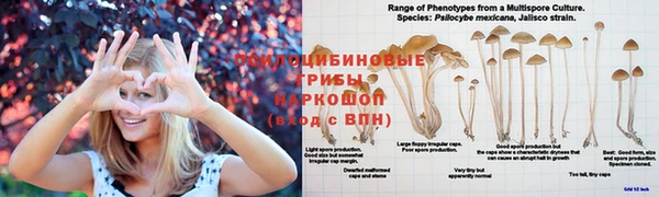 бутик Богородицк