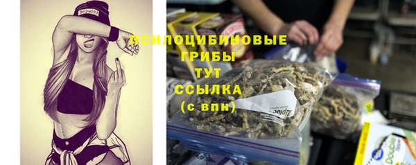 дмт Бронницы