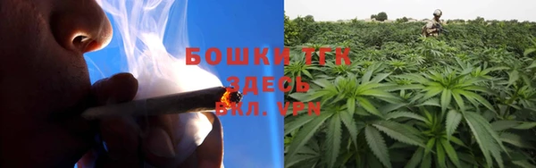 2c-b Богородск