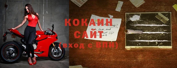 эйфоретик Бородино